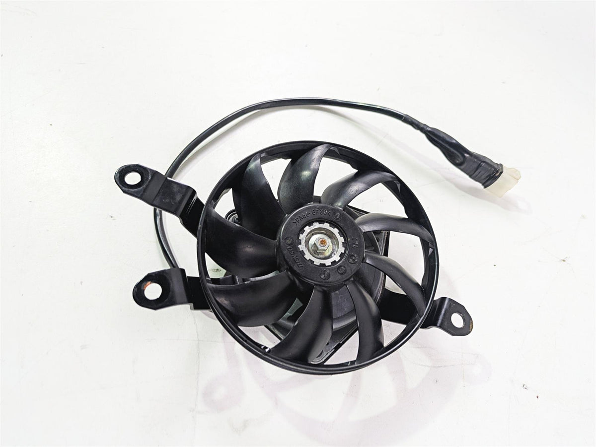 2009 Yamaha FZ1 FZS10 Fazer Left Hand Denso Radiator Cooling Fan 2D1-12405-01 {{ shop.shopifyCountryName }} - Mototech271