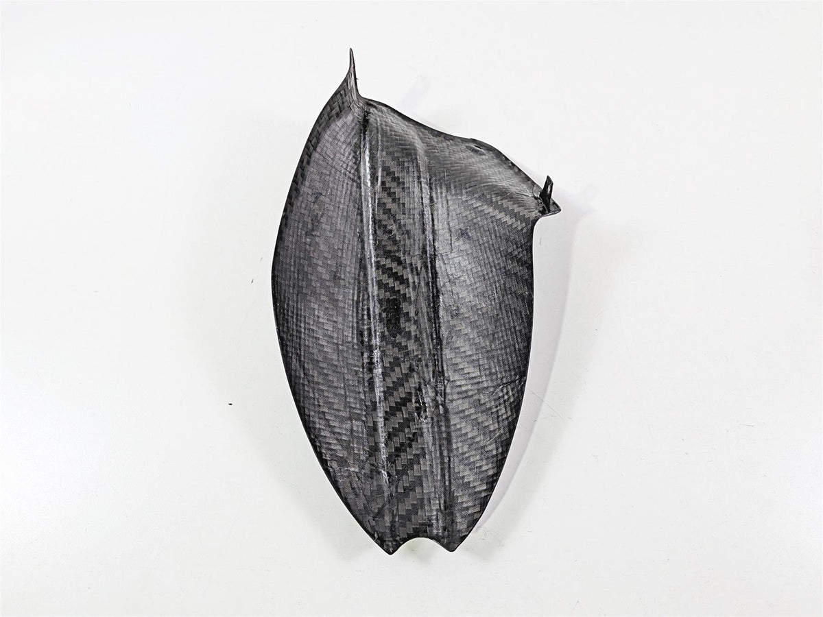 2019 Triumph Speed Triple RS 1050 Carbon Fiber Rear Fender Mud Guard {{ shop.shopifyCountryName }} - Mototech271