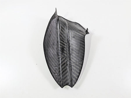 2019 Triumph Speed Triple RS 1050 Carbon Fiber Rear Fender Mud Guard {{ shop.shopifyCountryName }} - Mototech271