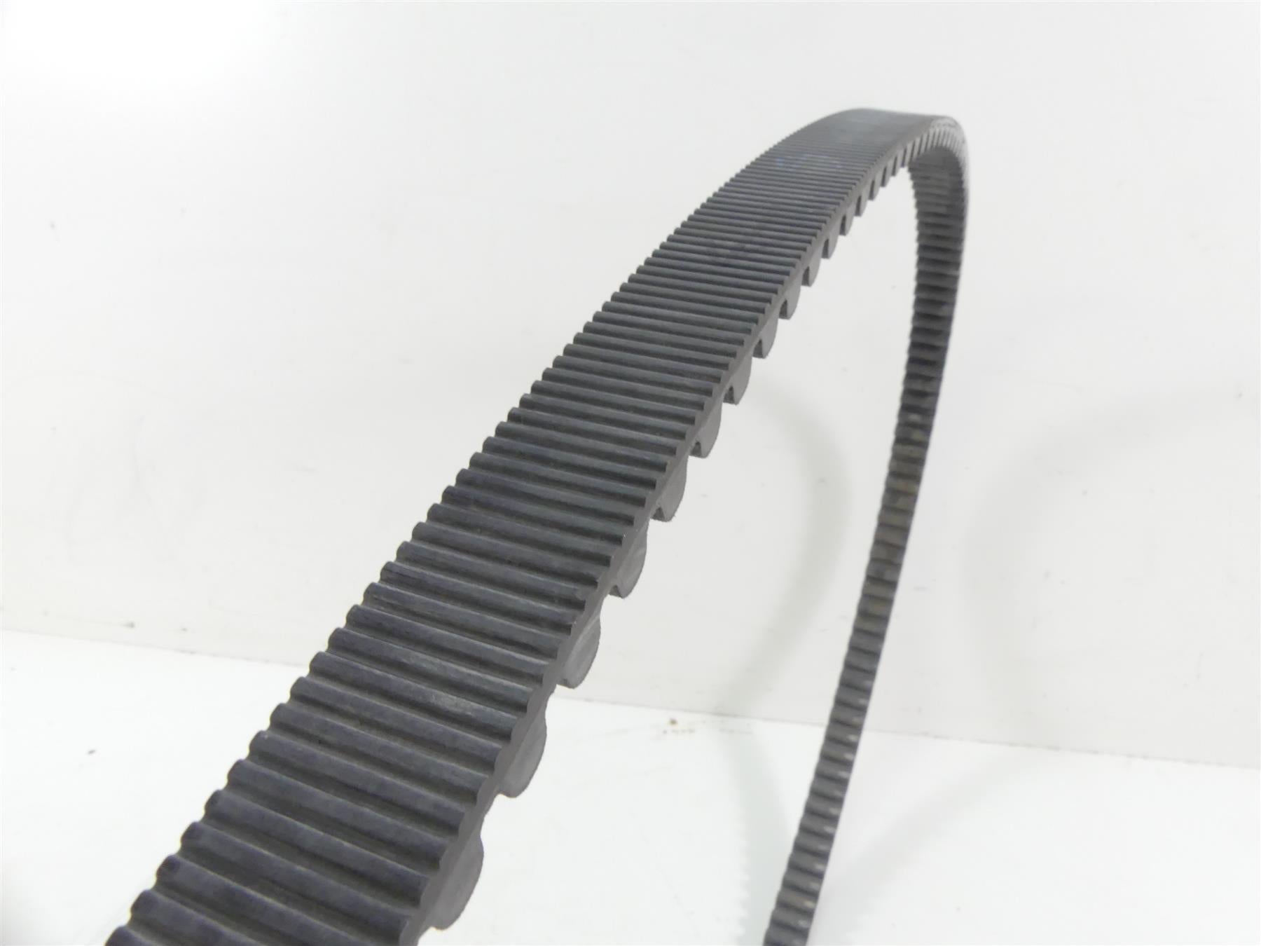 2013 Harley VRSCF Muscle V-Rod Main Drive Belt 151T 1" 40144-07 {{ shop.shopifyCountryName }} - Mototech271