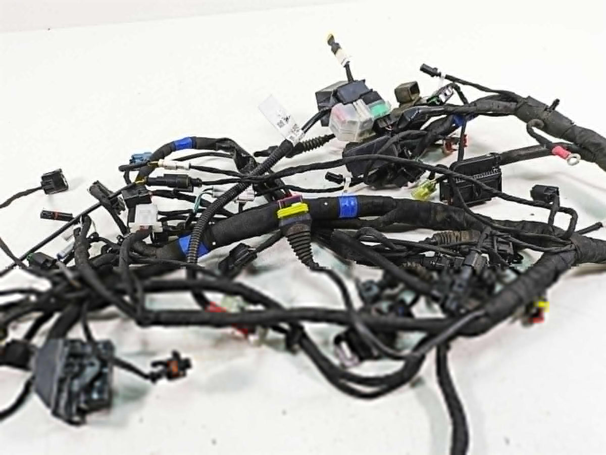 2020 Ducati Scrambler 1100 Sport Pro Wiring Harness Loom -No Cuts 5101F841E {{ shop.shopifyCountryName }} - Mototech271