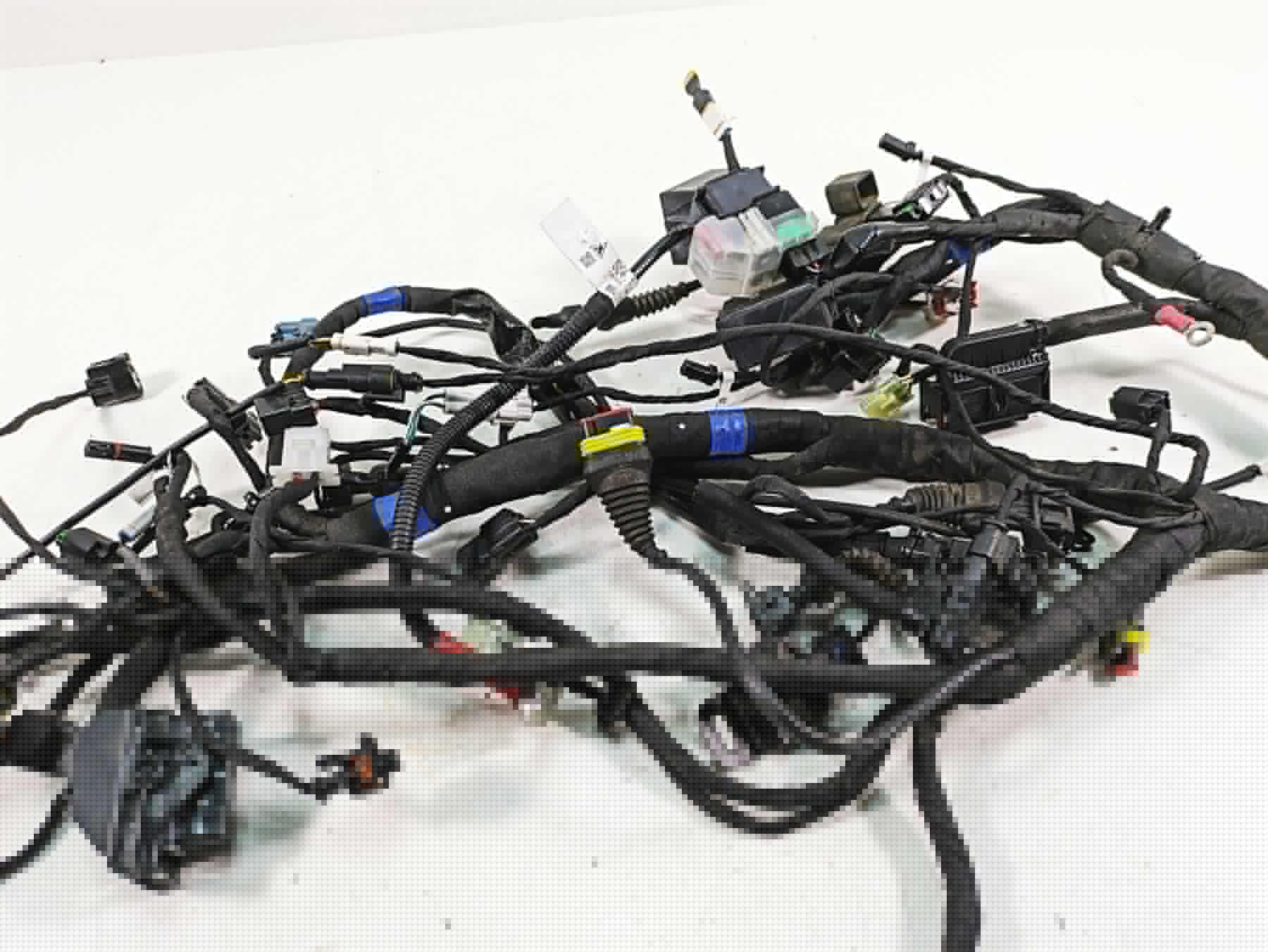 2020 Ducati Scrambler 1100 Sport Pro Wiring Harness Loom -No Cuts 5101F841E {{ shop.shopifyCountryName }} - Mototech271