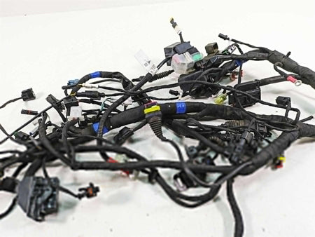 2020 Ducati Scrambler 1100 Sport Pro Wiring Harness Loom -No Cuts 5101F841E {{ shop.shopifyCountryName }} - Mototech271