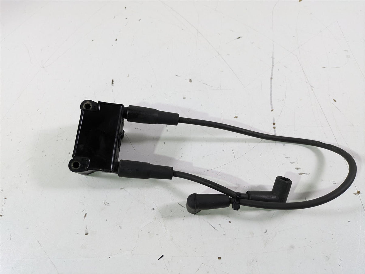 2015 Harley FXDL Dyna Low Rider Delphi Ignition Coil Wires Plugs 31696-07A {{ shop.shopifyCountryName }} - Mototech271