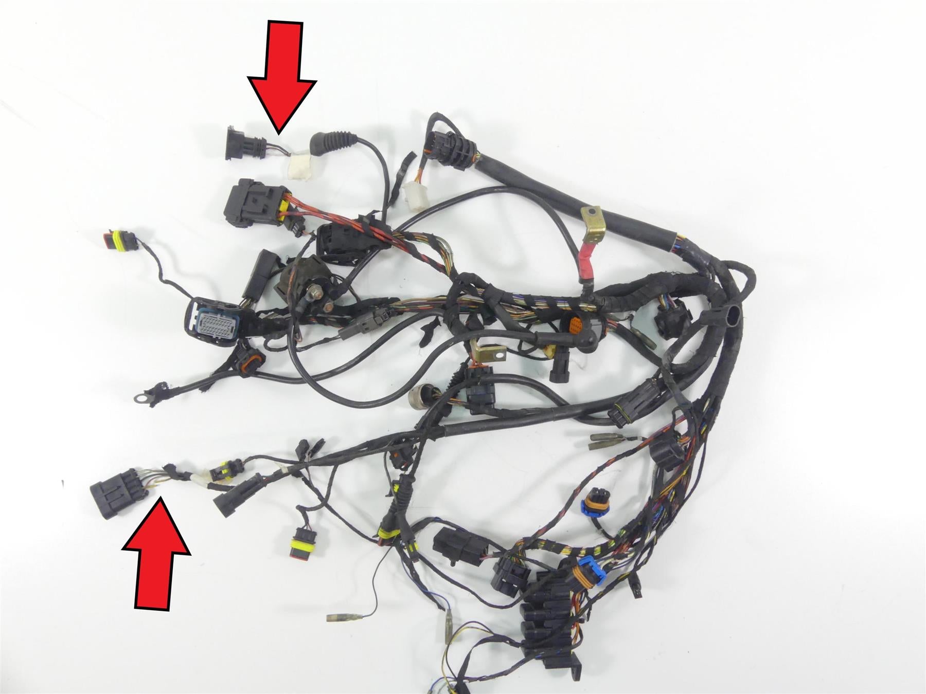 2004 Ducati 999 SBK Main Wiring Harness Loom - Read 51013232A {{ shop.shopifyCountryName }} - Mototech271