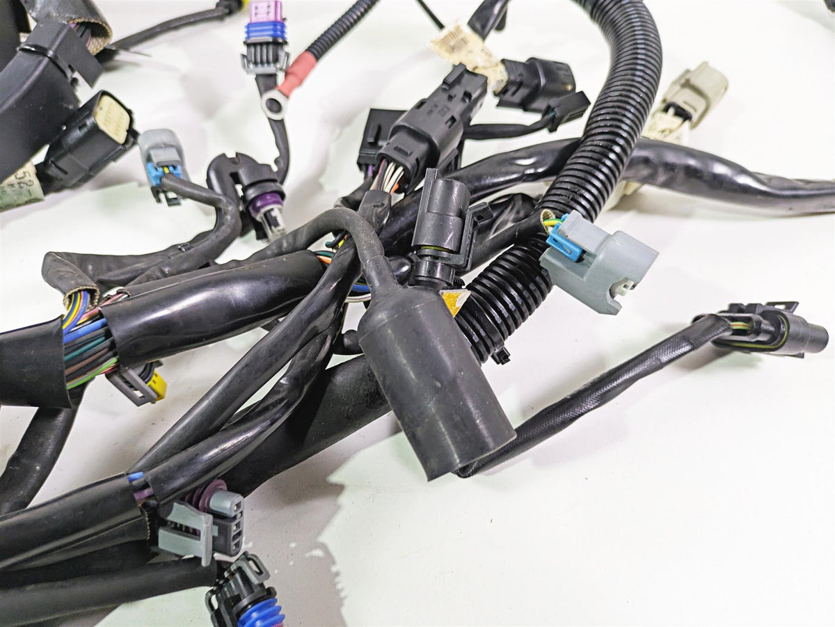 2008 Harley FXCWC Softail Rocker Main Wiring Harness - No Cuts 70452-08 {{ shop.shopifyCountryName }} - Mototech271