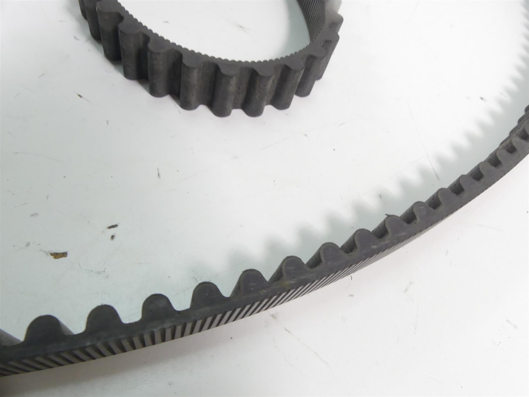 2014 Harley Sportster XL1200 C Rear Drive Belt 137T 1" 40591-07 {{ shop.shopifyCountryName }} - Mototech271