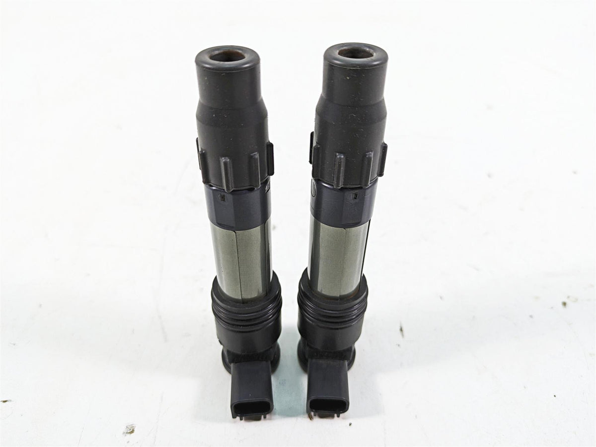 2016 Kawasaki Ninja EX300 Denso Ignition Coil Set 21171-0033 129700-5430 {{ shop.shopifyCountryName }} - Mototech271