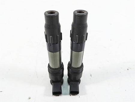2016 Kawasaki Ninja EX300 Denso Ignition Coil Set 21171-0033 129700-5430 {{ shop.shopifyCountryName }} - Mototech271