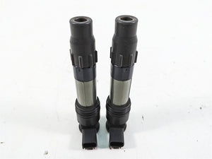 2016 Kawasaki Ninja EX300 Denso Ignition Coil Set 21171-0033 129700-5430 | Mototech271