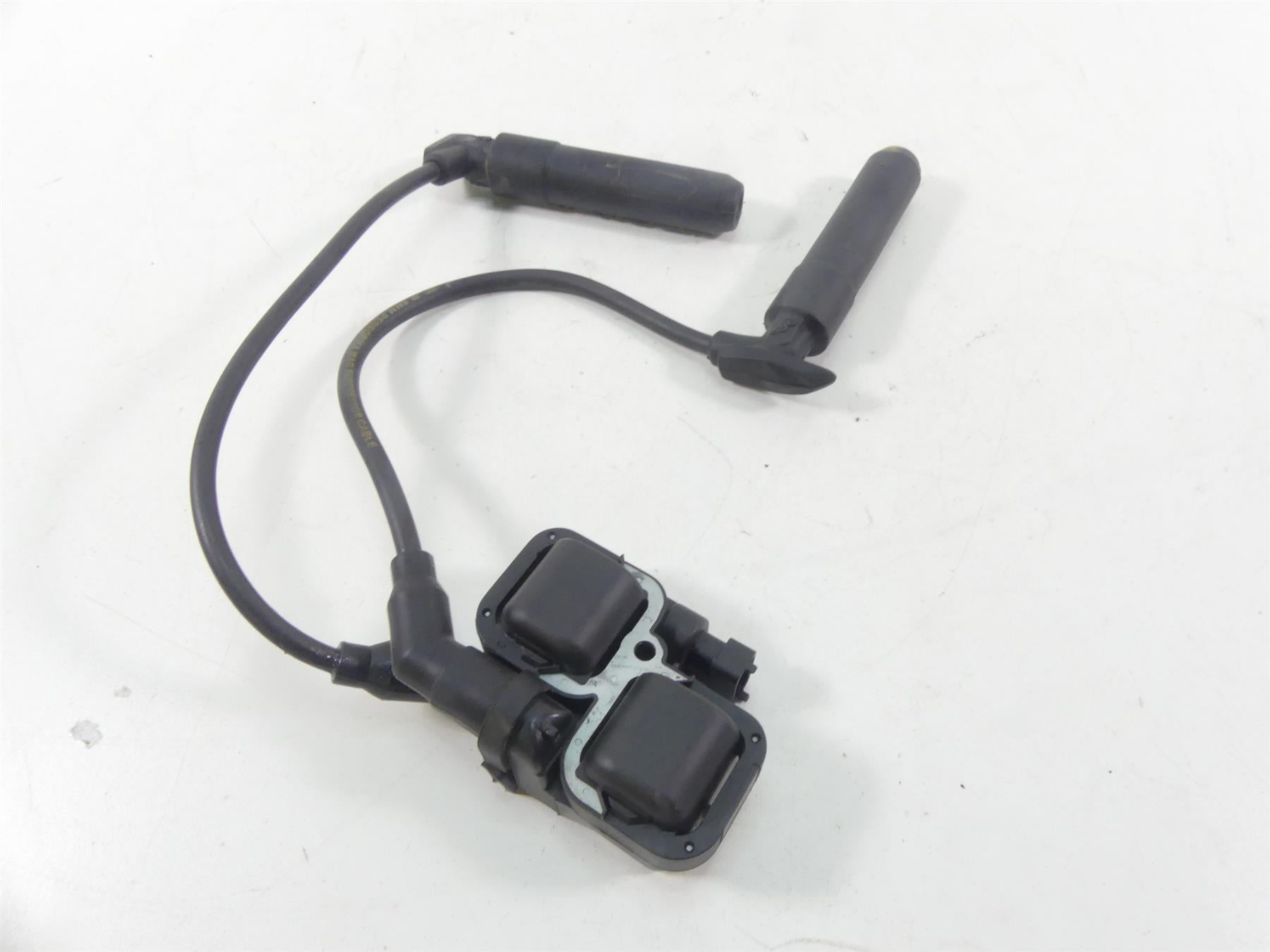 2020 Indian Roadmaster Front Rear Cylinder Ignition Coil 4010425 2876049