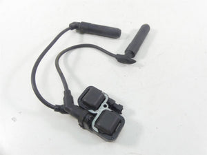 2020 Indian Roadmaster Front Rear Cylinder Ignition Coil 4010425 2876049