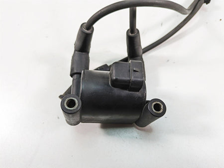 2011 Harley Touring FLTRU Road Glide Delphi Ignition Coil Wires Plugs 31696-07A {{ shop.shopifyCountryName }} - Mototech271