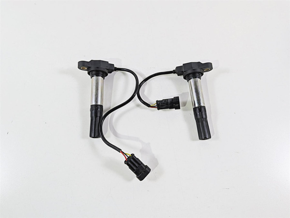 2016 Aprilia RSV 1100 Tuono V4 Factory 2 Eldor Ignition Coils 857084 857501 {{ shop.shopifyCountryName }} - Mototech271