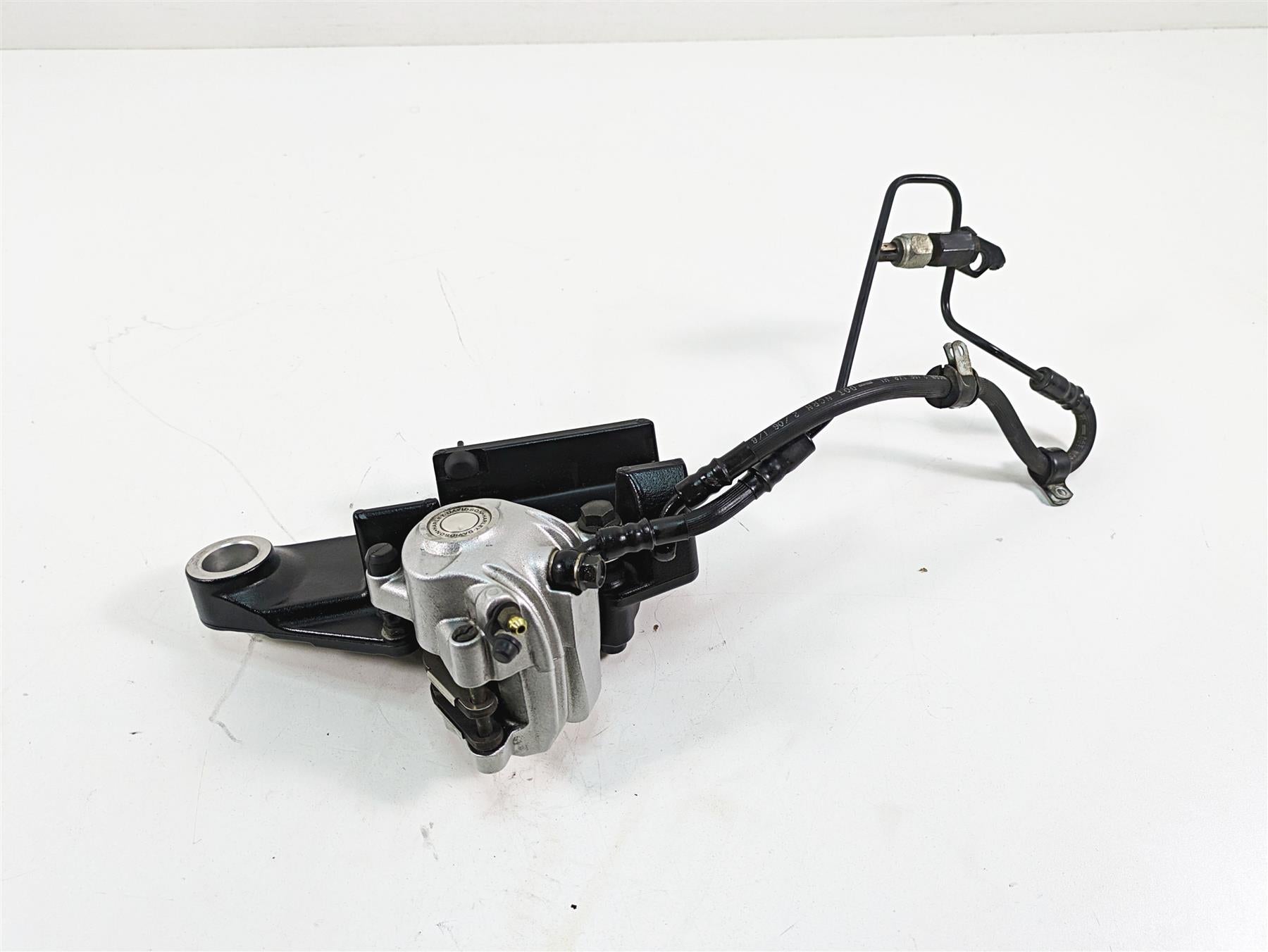 2006 Harley Sportster XL1200 Rear Brake Caliper + Bracket & Line 40968-05A {{ shop.shopifyCountryName }} - Mototech271