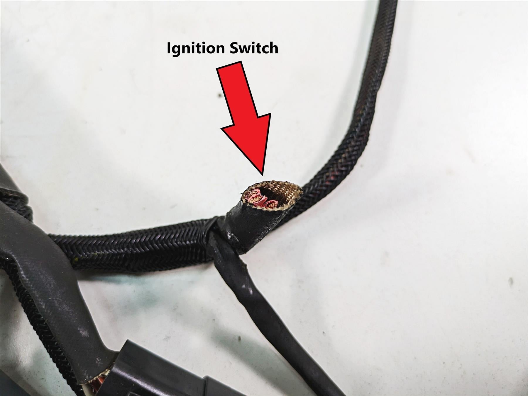2006 Harley Sportster XL1200 Main Wiring Harness Loom - Read 70139-06 {{ shop.shopifyCountryName }} - Mototech271