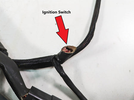 2006 Harley Sportster XL1200 Main Wiring Harness Loom - Read 70139-06 {{ shop.shopifyCountryName }} - Mototech271