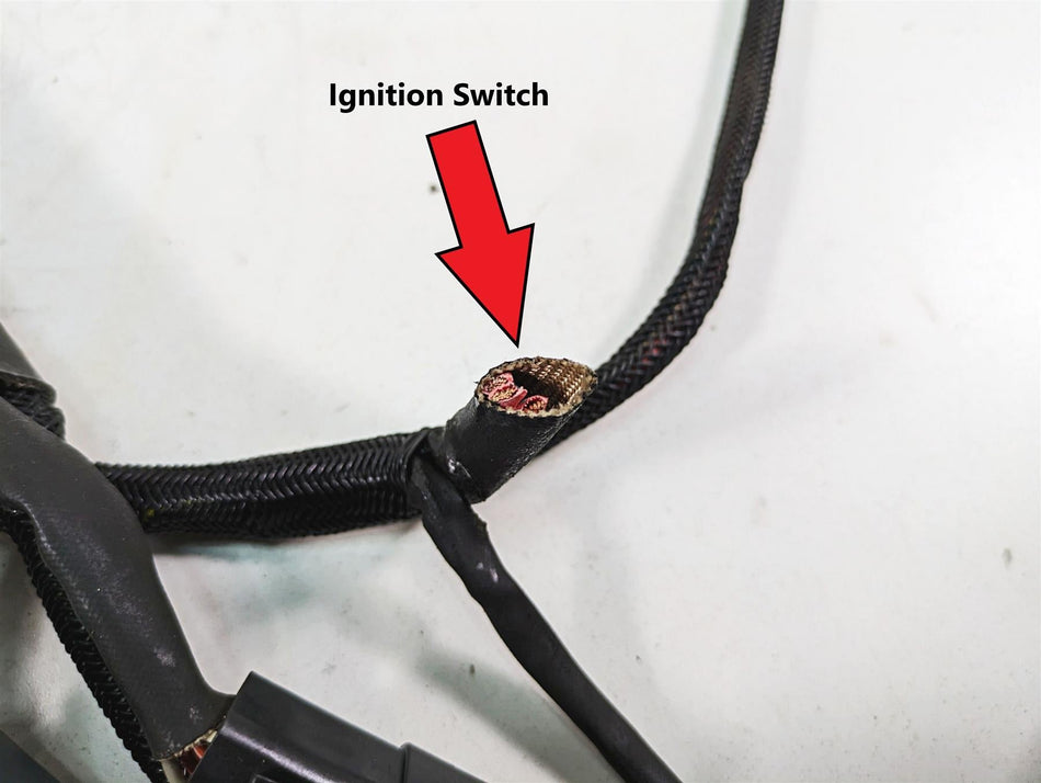 2006 Harley Sportster XL1200 Main Wiring Harness Loom - Read 70139-06 {{ shop.shopifyCountryName }} - Mototech271