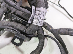 2016  BMW R1200GS GSW K50 Main & Engine Wiring Harness -No Cuts 61118562116 | Mototech271