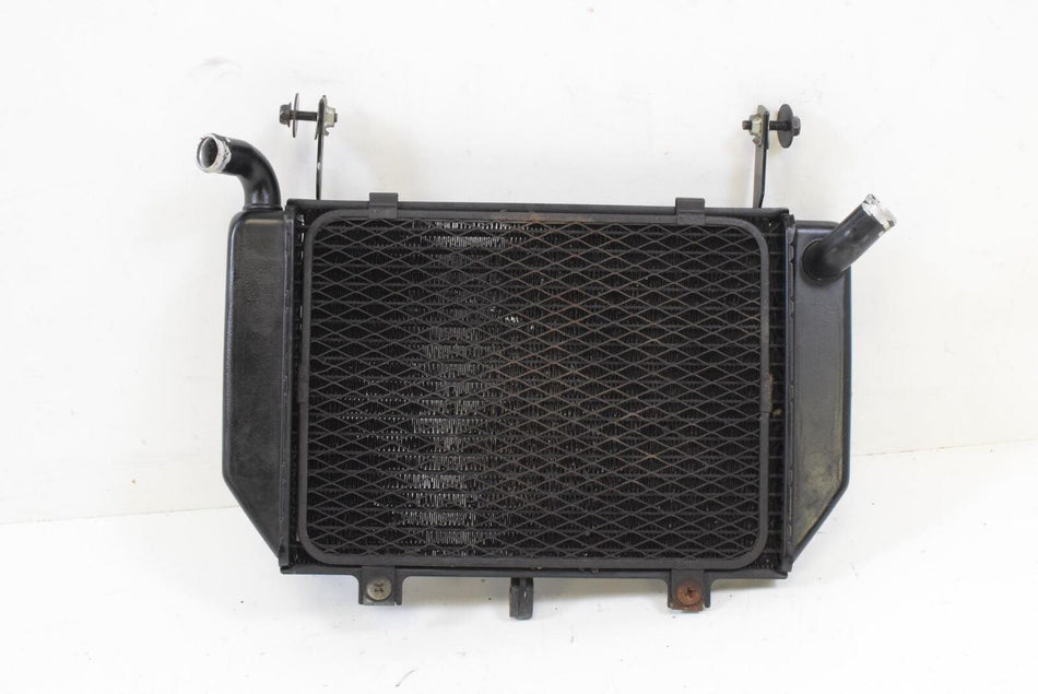 2000 Suzuki TL1000R TL1000 Lower Coolant Radiator NICE SHAPE NO LEAK 17720-02FA0 {{ shop.shopifyCountryName }} - Mototech271