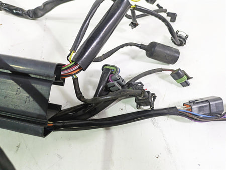 2004 Harley FLSTCI Softail Heritage Wiring Harness Loom EFI 70431-04 {{ shop.shopifyCountryName }} - Mototech271