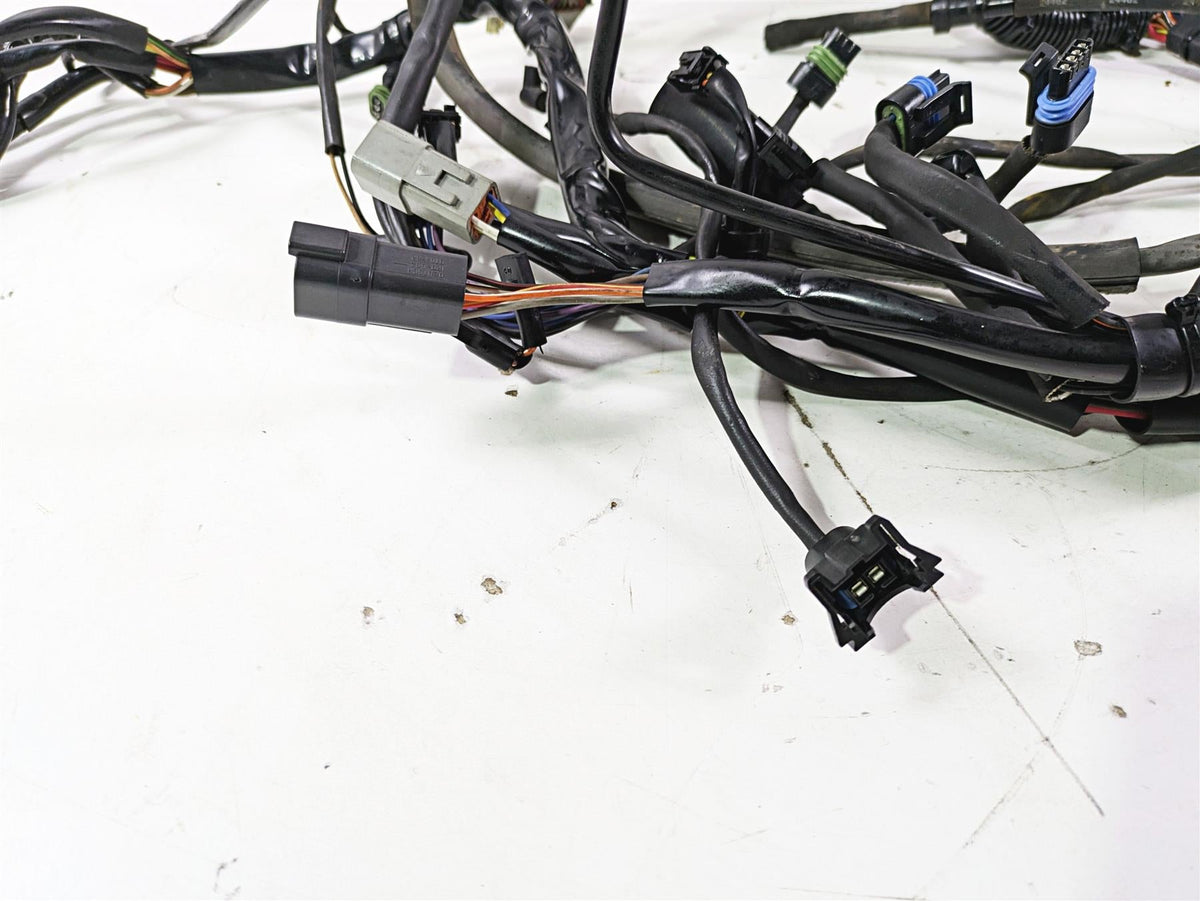 2005 Harley Softail FLSTSCI Heritage Springer Wiring Harness Loom 70431-04A {{ shop.shopifyCountryName }} - Mototech271
