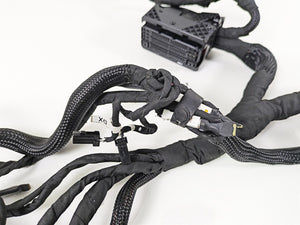 2022 Ducati Streetfighter V2 Wiring Harness Loom - No Cuts 5101L011E