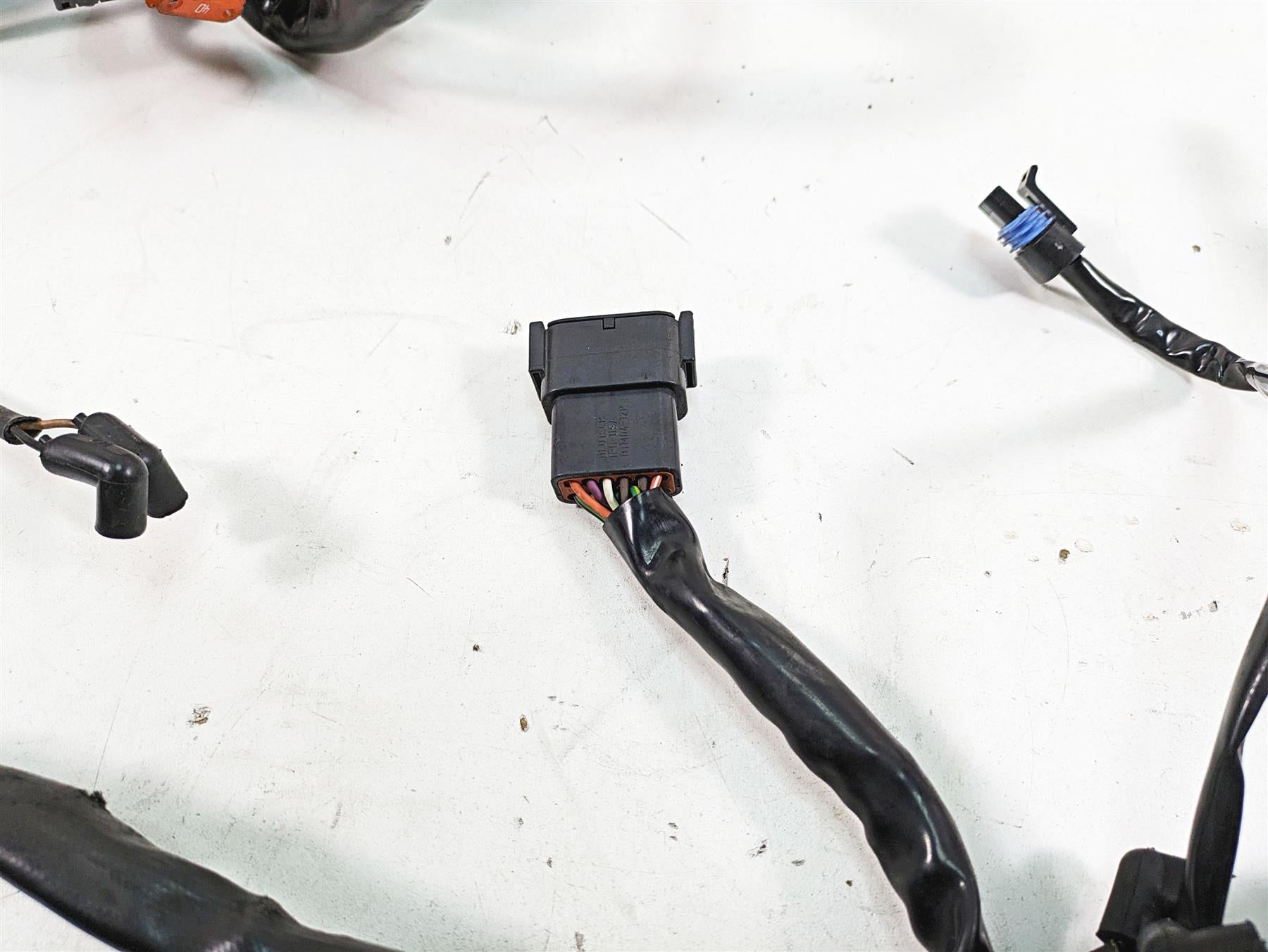 2005 Harley Dyna FXDL Low Rider Main Wiring Harness Loom - No Cut 69558-04A {{ shop.shopifyCountryName }} - Mototech271