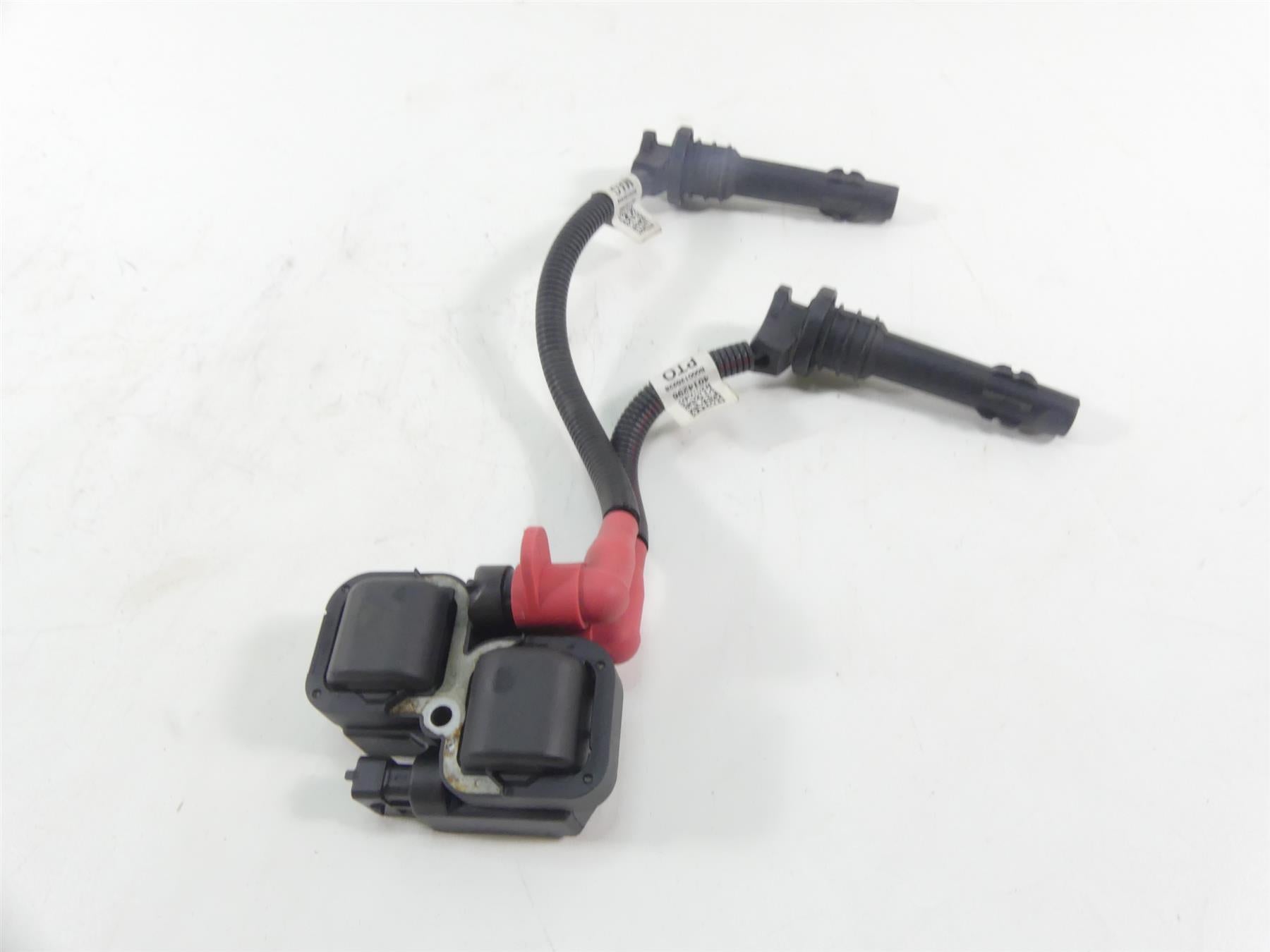 2018 Polaris RZR1000 RS1 Ignition Coils Coil Wires & Plugs 4010425 2876049 {{ shop.shopifyCountryName }} - Mototech271