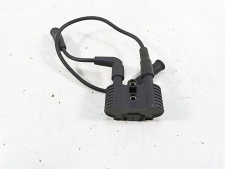 2007 Harley Sportster XL1200 C Ignition Coil Wires & Plugs 31656-07 {{ shop.shopifyCountryName }} - Mototech271
