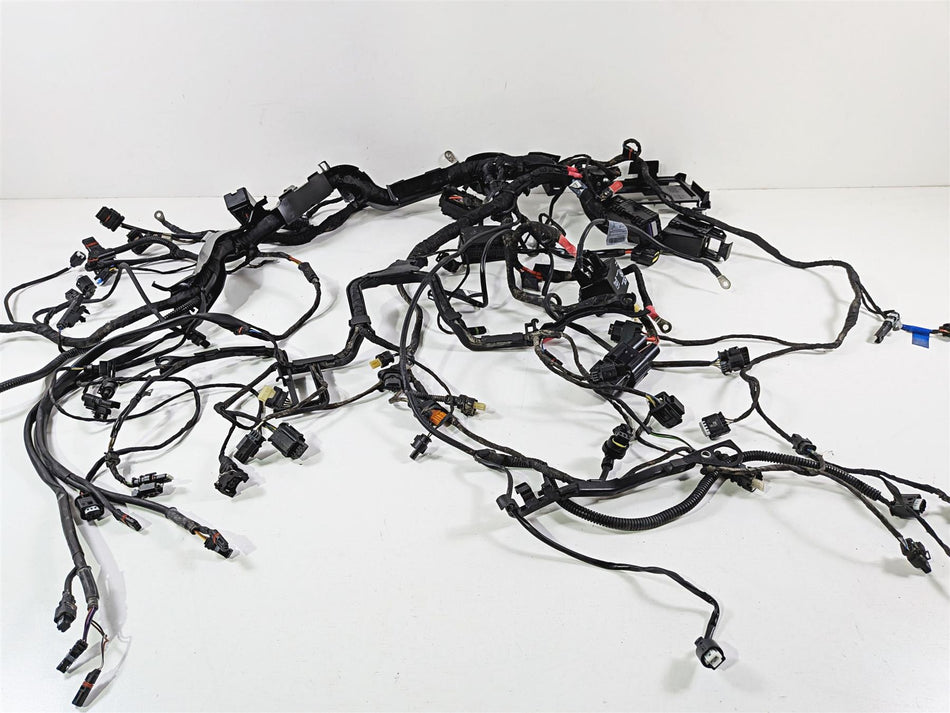 2020 BMW R1250GS K51 Adventure Main & Engine Wiring Harness No Cuts 61119480785