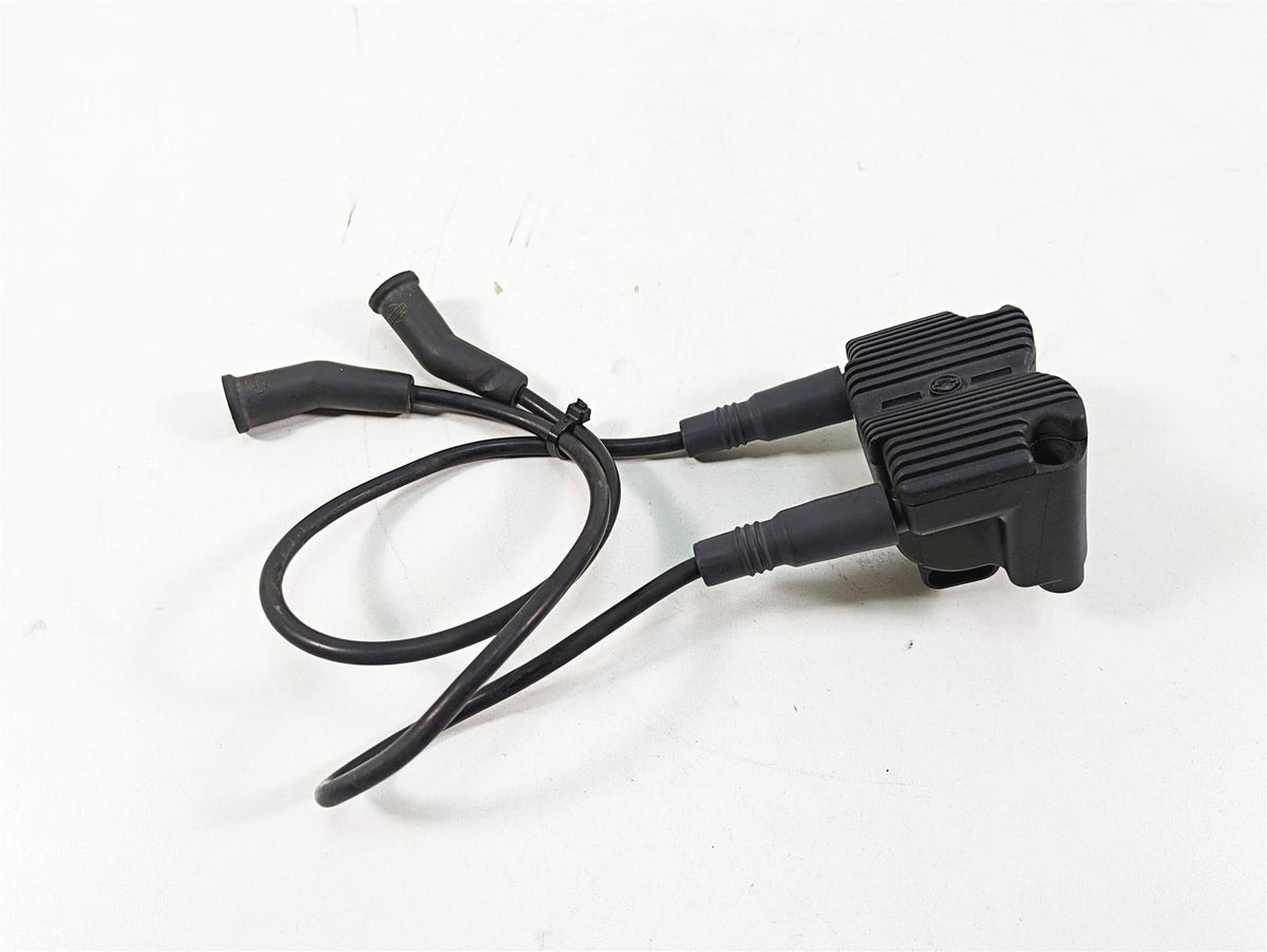 2006 Harley Touring FLHXI Street Glide Delphi Ignition Coil Wires Plugs 31743-01 {{ shop.shopifyCountryName }} - Mototech271