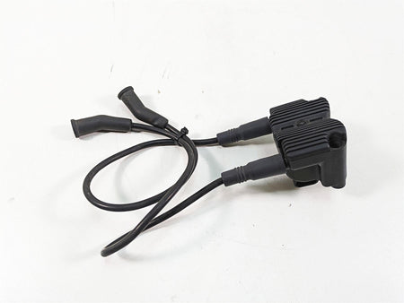 2006 Harley Touring FLHXI Street Glide Delphi Ignition Coil Wires Plugs 31743-01 {{ shop.shopifyCountryName }} - Mototech271