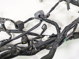2022 Kawasaki ZR900RS Cafe Main Wiring Harness Loom - No Cuts 26031-2950