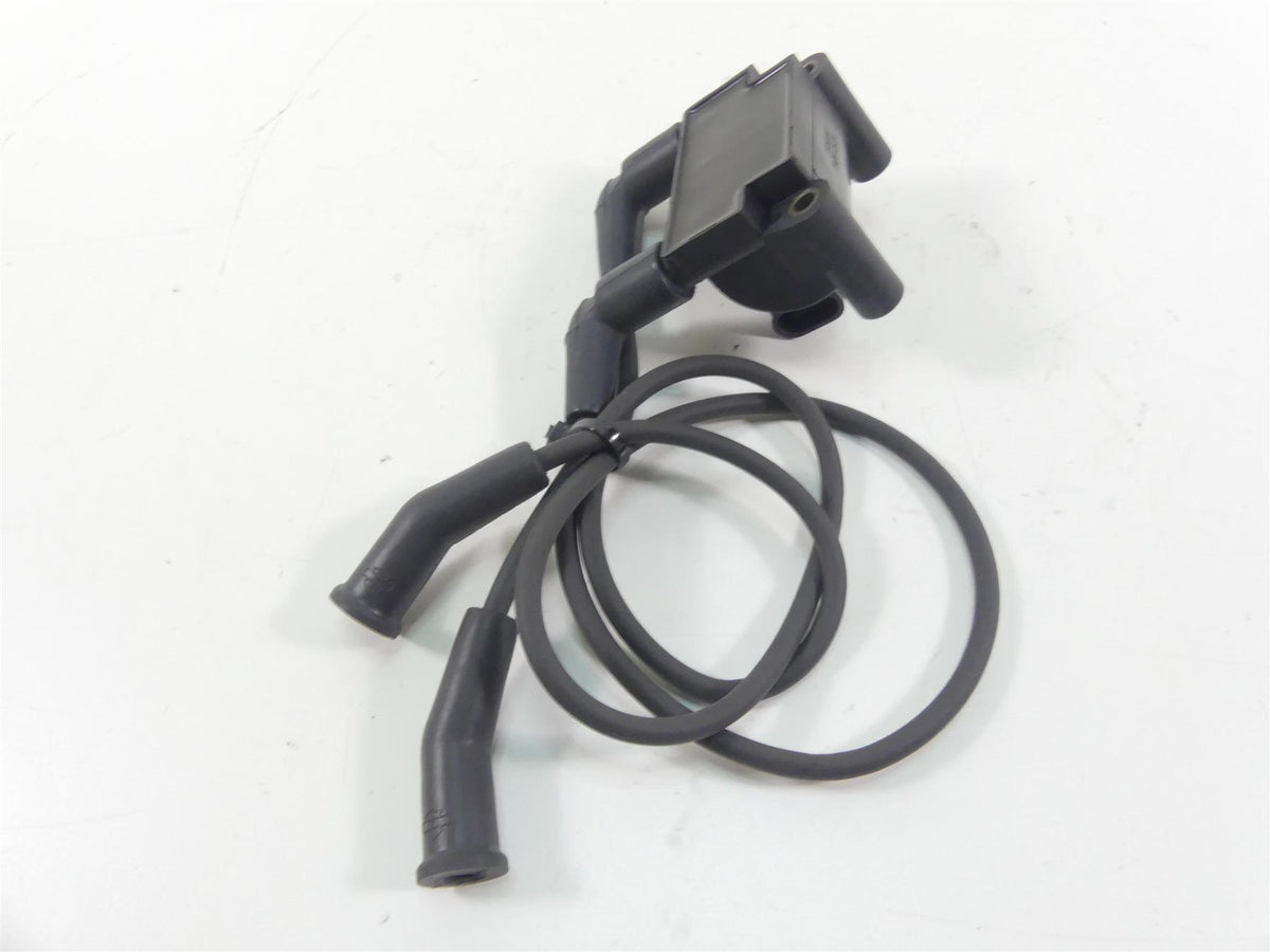 2016 Harley Touring FLHR Road King Delphi Ignition Coil Wires Plugs 31696-07A {{ shop.shopifyCountryName }} - Mototech271