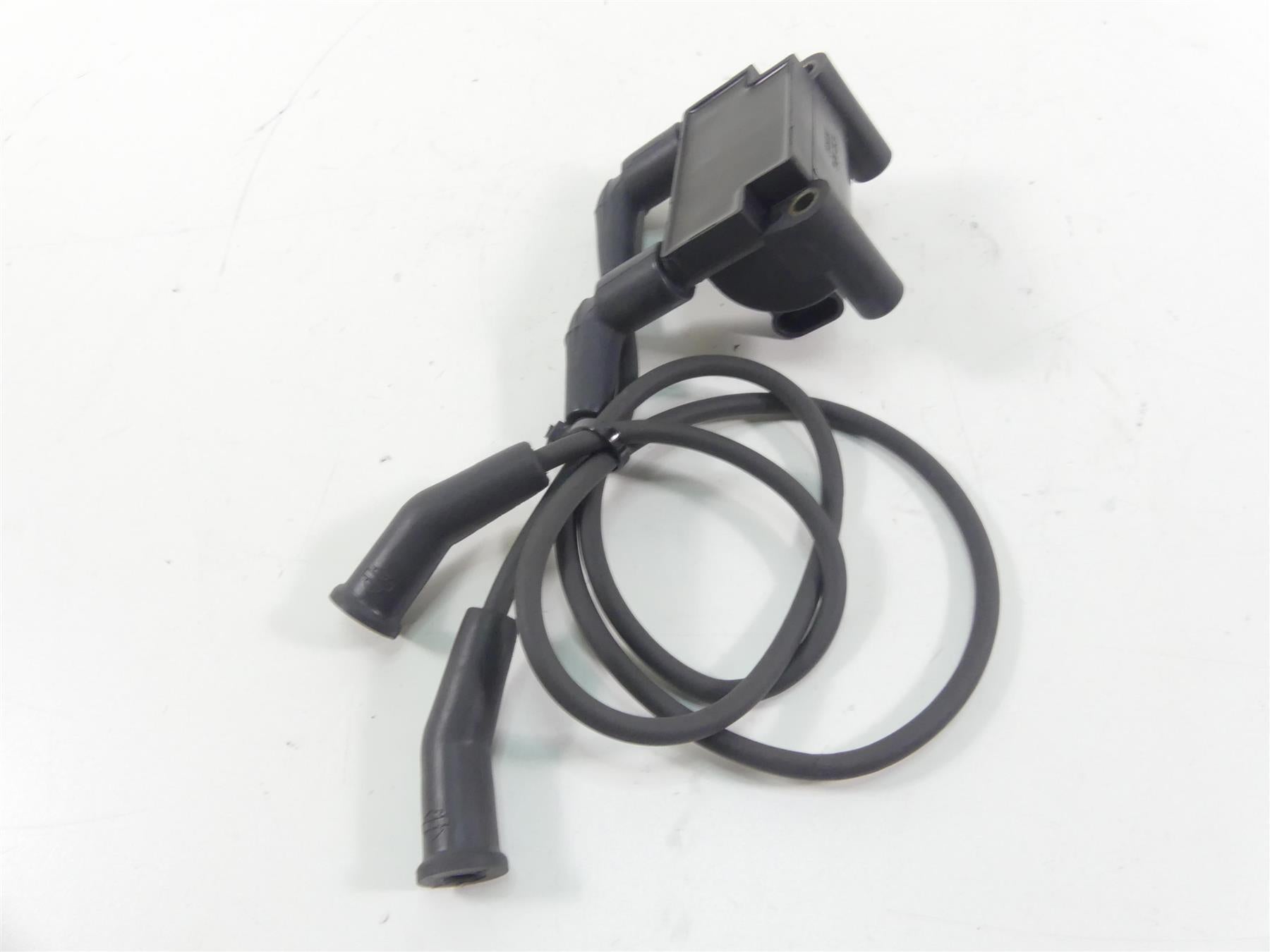 2016 Harley Touring FLHR Road King Delphi Ignition Coil Wires Plugs 31696-07A {{ shop.shopifyCountryName }} - Mototech271