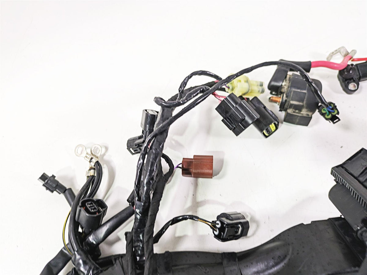 2023 Triumph Street Triple 765 RS Main Wiring Harness Loom - No Cuts T2507125 {{ shop.shopifyCountryName }} - Mototech271
