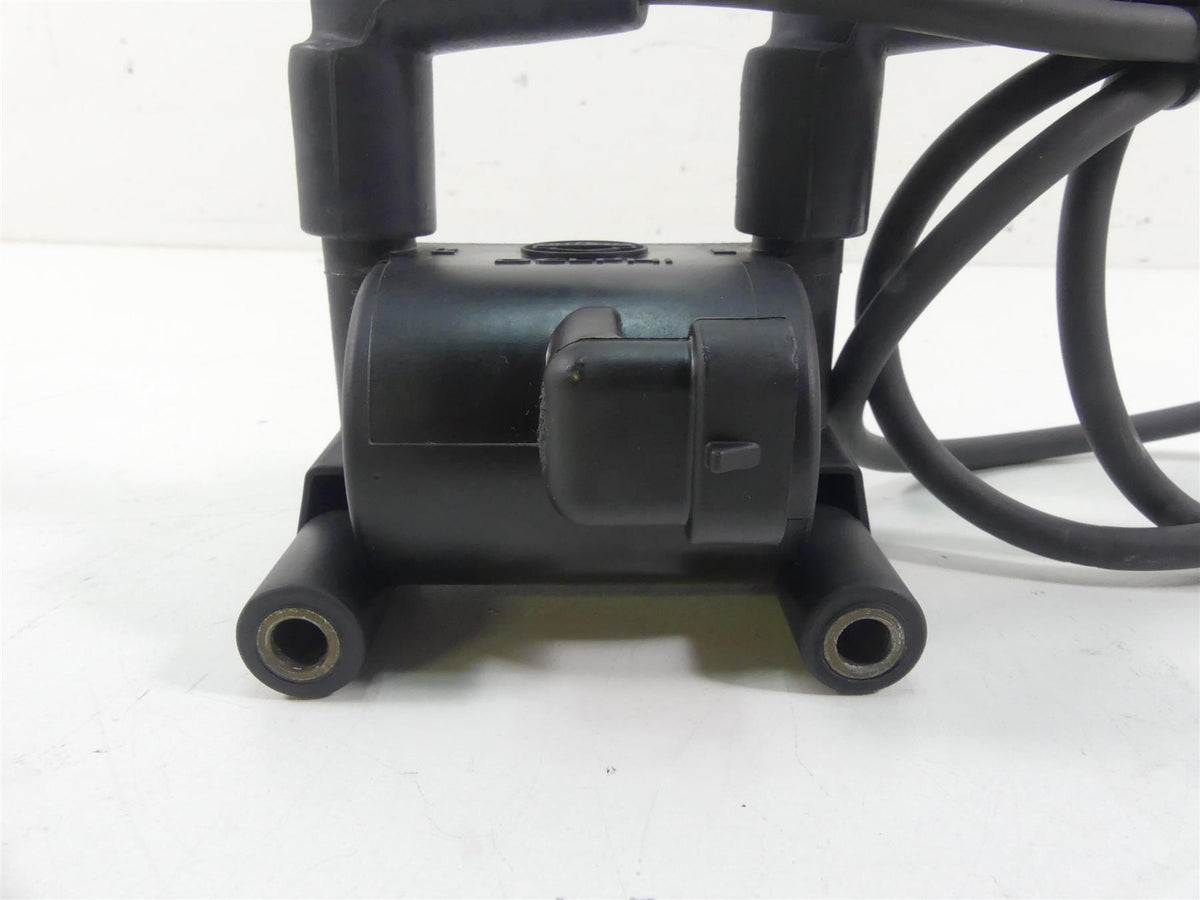 2016 Harley Touring FLHR Road King Delphi Ignition Coil Wires Plugs 31696-07A {{ shop.shopifyCountryName }} - Mototech271