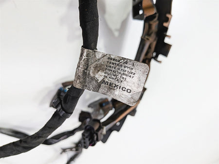 2022 Harley Softail FXLRST Low Rider Engine Wiring Harness Loom 69202199 {{ shop.shopifyCountryName }} - Mototech271