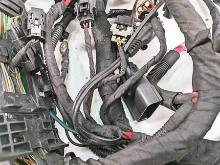 2020 Harley Softail FXBB Street Bob Main Wiring Harness No Abs - Read 69201492 {{ shop.shopifyCountryName }} - Mototech271