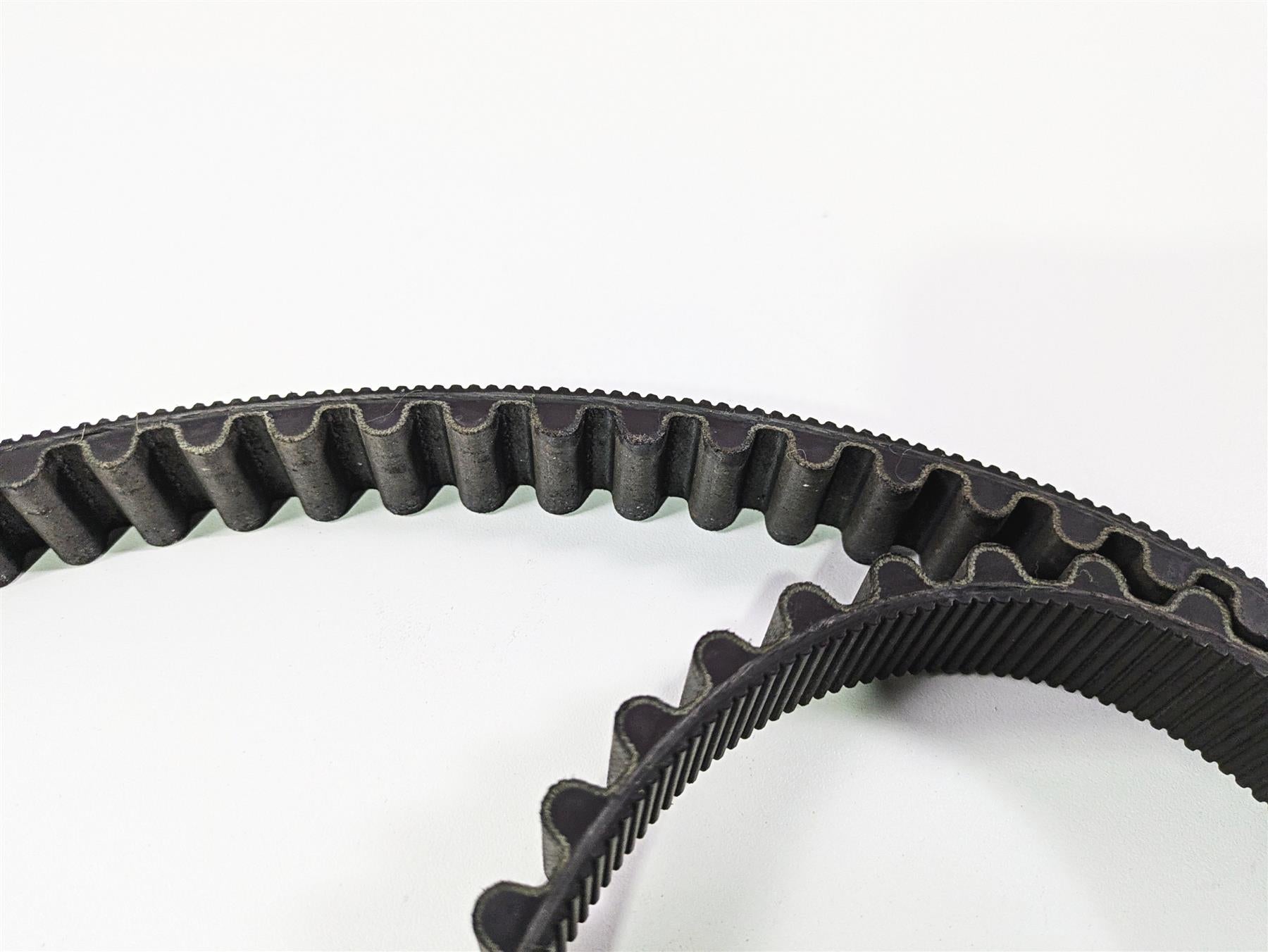 2019 Harley Softail FXDR 114 Rear Drive Belt 134T 24mm 40000018 {{ shop.shopifyCountryName }} - Mototech271