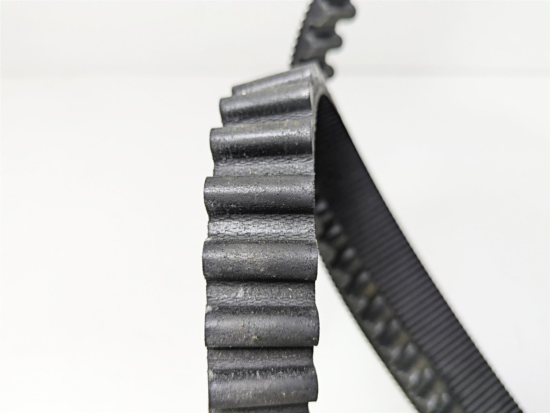 2019 Indian Chieftain Limited Rear Drive Belt 152T 24mm 3211168 {{ shop.shopifyCountryName }} - Mototech271