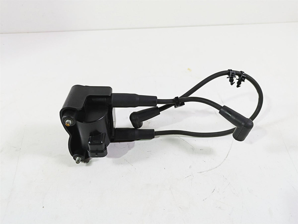 2014 Harley FXDL Dyna Low Rider Delphi Ignition Coil Wires Plugs 31696-07A {{ shop.shopifyCountryName }} - Mototech271
