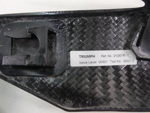 2020 Triumph Speed Triple RS 1050 Left Nice Side Carbon Fiber Cover T2103014 | Mototech271