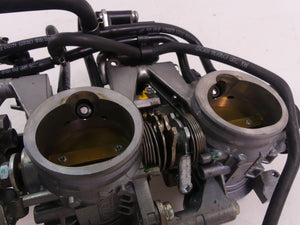2014 Triumph Tiger 800 ABS Throttle Bodies Keihin Fuel Injection  T1243800 | Mototech271